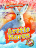 Arctic_Hares