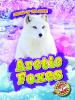 Arctic_Foxes