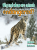 Why_and_where_are_animals_endangered_