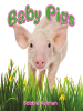 Baby_Pigs